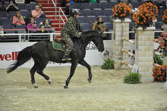 WIHS-10-27-11-Cl211-Gambler-5357-Alsvid-RichieMoloney-DDeRosaPhoto.JPG