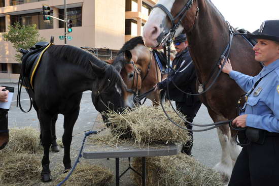 WIHS2-10-26-11-Breakfast-Police-0733-DDeRosaPhoto.JPG