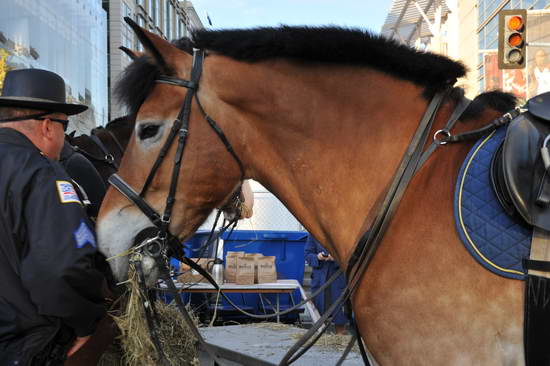 WIHS2-10-26-11-Breakfast-Police-0750-DDeRosaPhoto.JPG