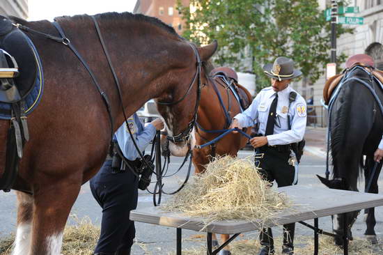 WIHS2-10-26-11-Breakfast-Police-9079-DDeRosaPhoto.JPG