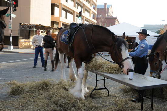 WIHS2-10-26-11-Breakfast-Police-9082-DDeRosaPhoto.JPG