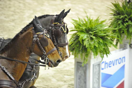 WIHS4-10-28-11-ChesterWeber-1020-DDeRosaPhoto.JPG