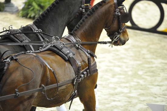 WIHS4-10-28-11-ChesterWeber-1022-DDeRosaPhoto.JPG