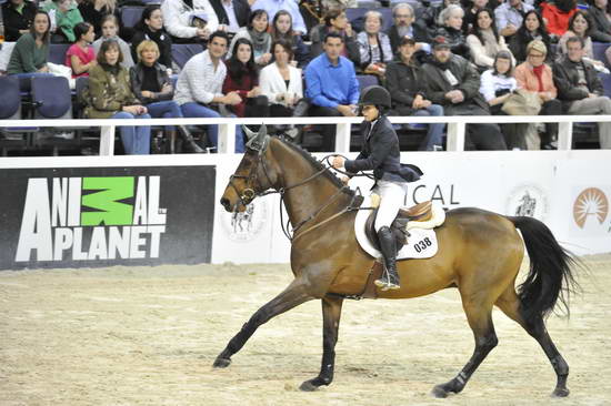 AnimalPlanet-WIHS5-10-29-11-PresCup-1177-RockyW-KaitlinCampbell-DDeRosaPhoto.JPG