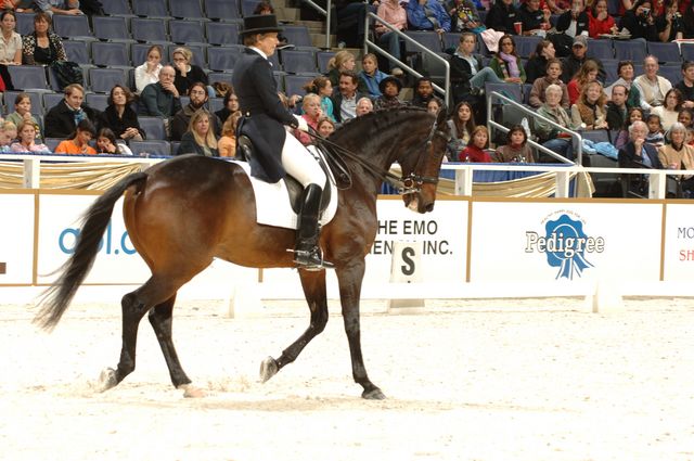 17-WIHS-CathyMorelli-BeSe-Dressage-10-27-05-DDPhoto.JPG