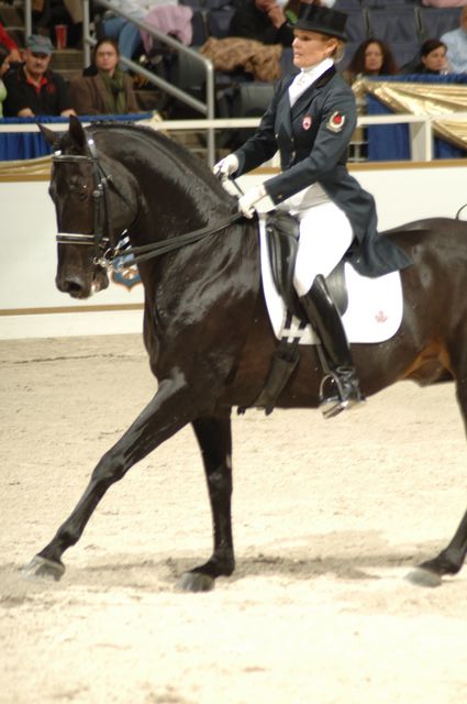 33-WIHS-AshleyHolzer-10-28-05-Dressage-DDPhoto.JPG