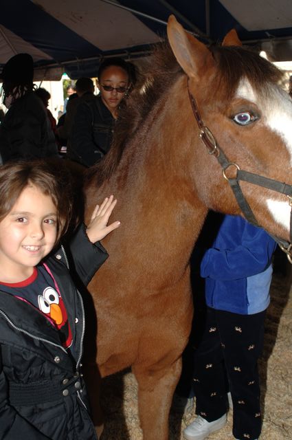 012-WIHS-PonyPavilion-10-29-05-DDPhoto.JPG