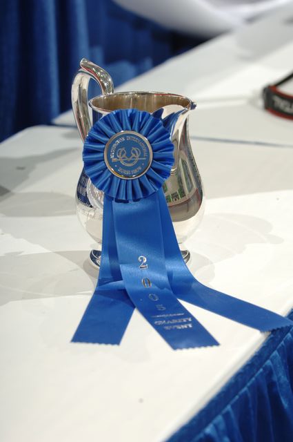 02-WIHS-Trophies-Awards-10-29-05-DDPhoto.JPG