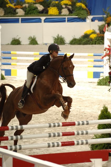 060-WIHS-MariaSchaub-Amigo-10-29-05-EqClassicJpr-182-DDPhoto.JPG