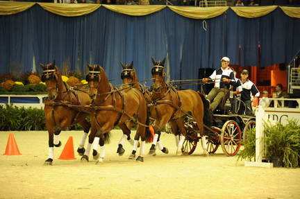 10-24-08-WIHS-733-DeRosaPhoto.jpg