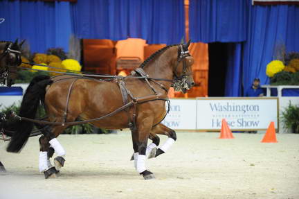 10-24-08-WIHS-754-DeRosaPhoto.jpg