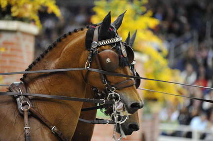 10-24-08-WIHS-761-DeRosaPhoto.jpg