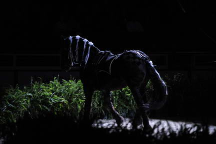 10-24-08-WIHS-897-DeRosaPhoto.jpg