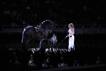 10-24-08-WIHS-928-DeRosaPhoto.jpg