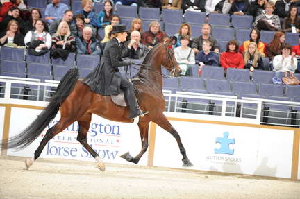 10-24-08-WIHS-517-DeRosaPhoto.jpg