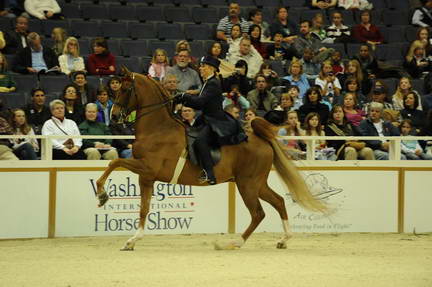 10-24-08-WIHS-533-DeRosaPhoto.jpg