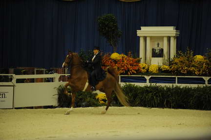 10-24-08-WIHS-538-DeRosaPhoto.jpg