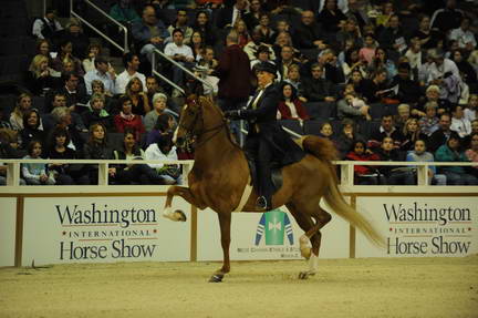 10-24-08-WIHS-544-DeRosaPhoto.jpg