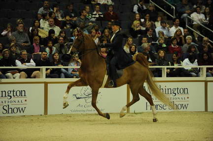 10-24-08-WIHS-545-DeRosaPhoto.jpg