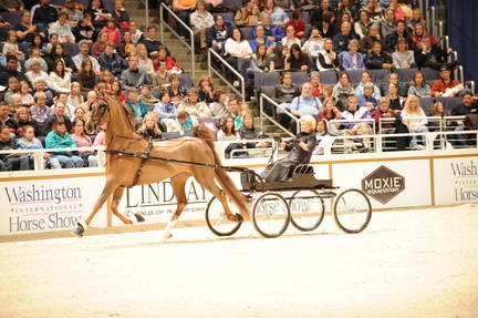 10-24-08-WIHS-553-DeRosaPhoto.jpg