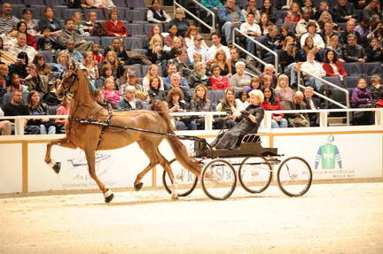 10-24-08-WIHS-554-DeRosaPhoto.jpg