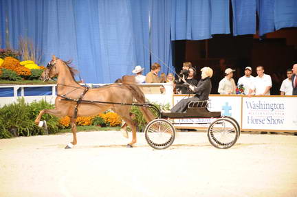 10-24-08-WIHS-555-DeRosaPhoto.jpg