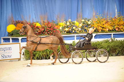 10-24-08-WIHS-561-DeRosaPhoto.jpg