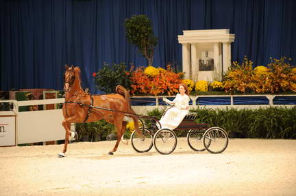 10-24-08-WIHS-562-DeRosaPhoto.jpg