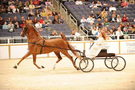 10-24-08-WIHS-572-DeRosaPhoto.jpg