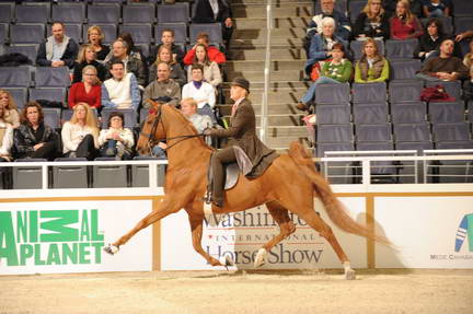 10-24-08-WIHS-581-DeRosaPhoto.jpg