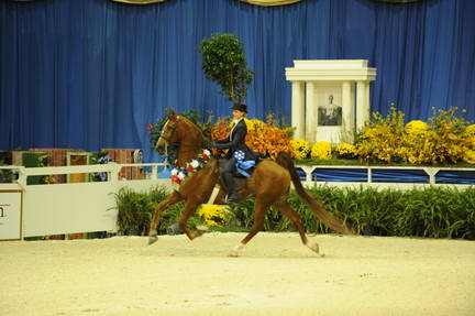 10-24-08-WIHS-593-DeRosaPhoto.jpg