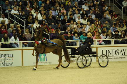 10-24-08-WIHS-600-DeRosaPhoto.jpg