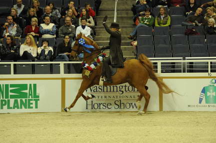 10-24-08-WIHS-619-DeRosaPhoto.jpg