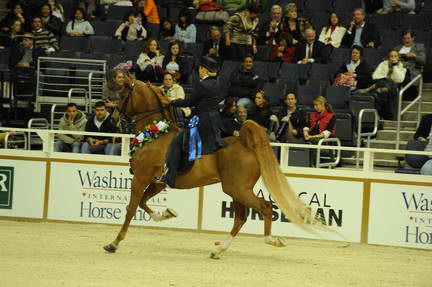 10-24-08-WIHS-627-DeRosaPhoto.jpg