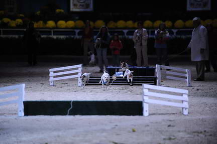 10-24-08-WIHS-1083-DeRosaPhoto.jpg