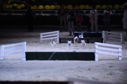 10-24-08-WIHS-1084-DeRosaPhoto.jpg