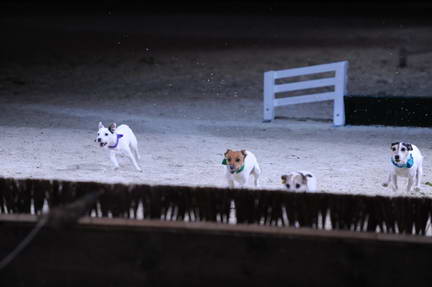 10-24-08-WIHS-1101-DeRosaPhoto.jpg