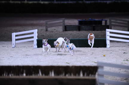 10-24-08-WIHS-1114-DeRosaPhoto.jpg