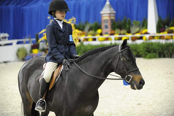 WIHS-10-24-09-DER_8218-Ponies-DDeRosaPhoto.jpg