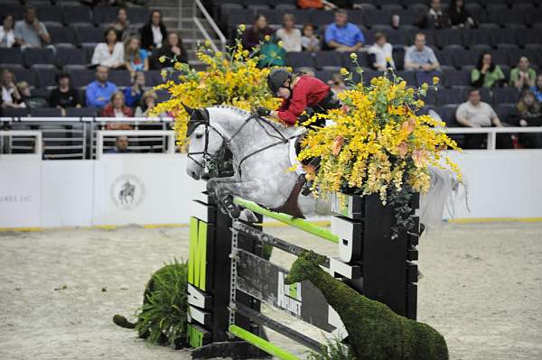 WIHS-10-22-09-Gamblers-DSC_7324-Starlight-KateLevy-DDeRosaPhoto.jpg