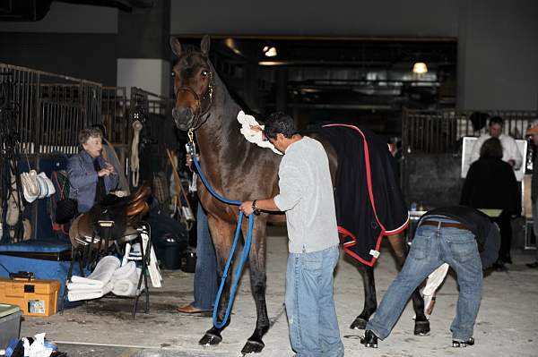 WIHS-10-20-09-DSC_9182-AroundGrounds-Inside-DDeRosaPhoto.jpg