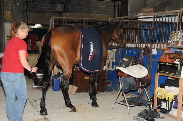 WIHS-10-22-09-DSC_049-AroundGrounds-Inside-DDeRosaPhoto.jpg