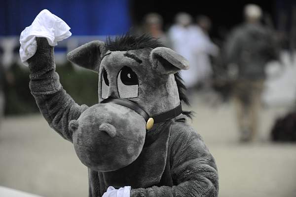 WIHS-10-23-09-DER_7224-Mascot-DDeRosaPhoto.jpg