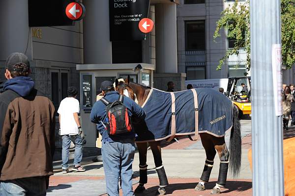 WIHS-10-19-09-386-DDeRosaPhoto.jpg