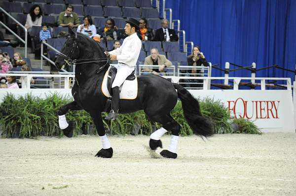 WIHS-10-24-10-Cl250HtrDrby-DER_8397-Jerseyboy-JenniferAlfano-Sponsors-Equiery-DDeRosaPhoto.jpg