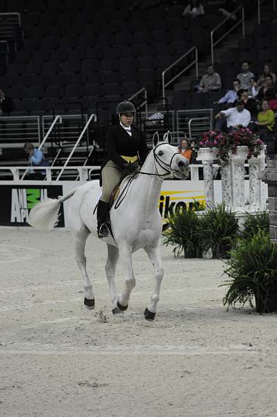 WIHS-10-20-09-DSC_0935-Tanqueray-BethCompanion-DDeRosaPhoto.jpg