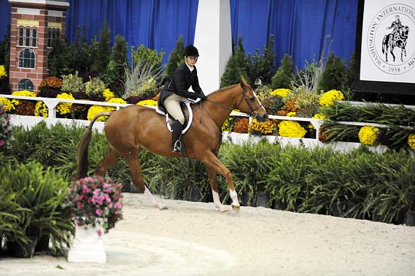 WIHS-10-20-09-DSC_1041-Vermilion-AinsleySadlo-DDeRosaPhoto.jpg