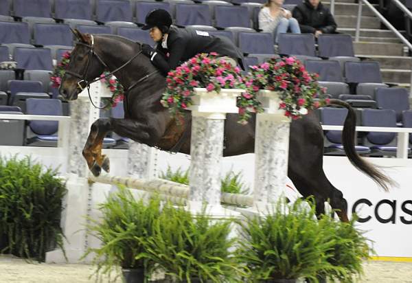 WIHS-10-20-09-DSC_1212-Indulgence-JodyRuth-DDeRosaPhoto.jpg