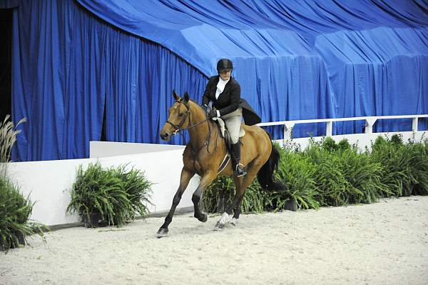 WIHS-10-20-09-DSC_1242-Saracen-LisaWilliamson-DDeRosaPhoto.jpg