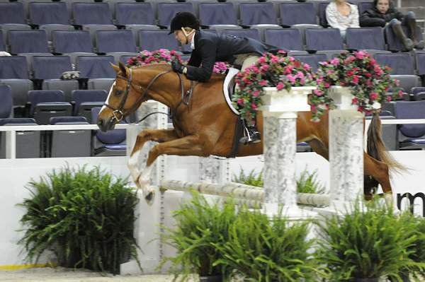 WIHS-10-20-09-DSC_1257-Vermilion-AinsleySadlo-DDeRosaPhoto.jpg